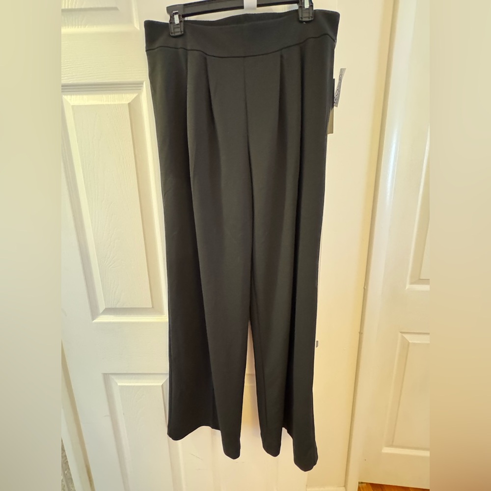 NWT | Briggs Pants | Size 12